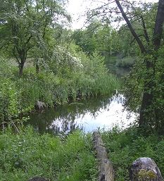 Teich an der Kehrbeeke