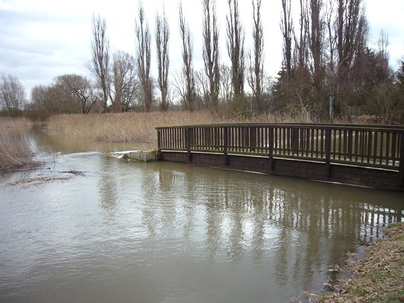 Hochwasser Februar 2010