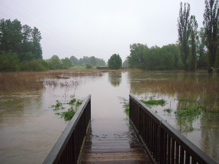 Schunterüberschwemmung Mai 2013